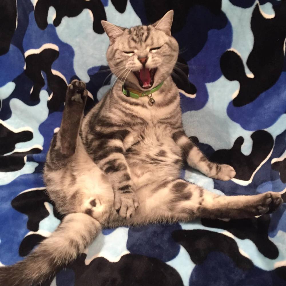 Meet your Posher, Maggie